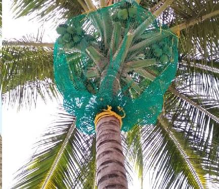 Coconut Safety Nets Fixing Near Me in Bangalore