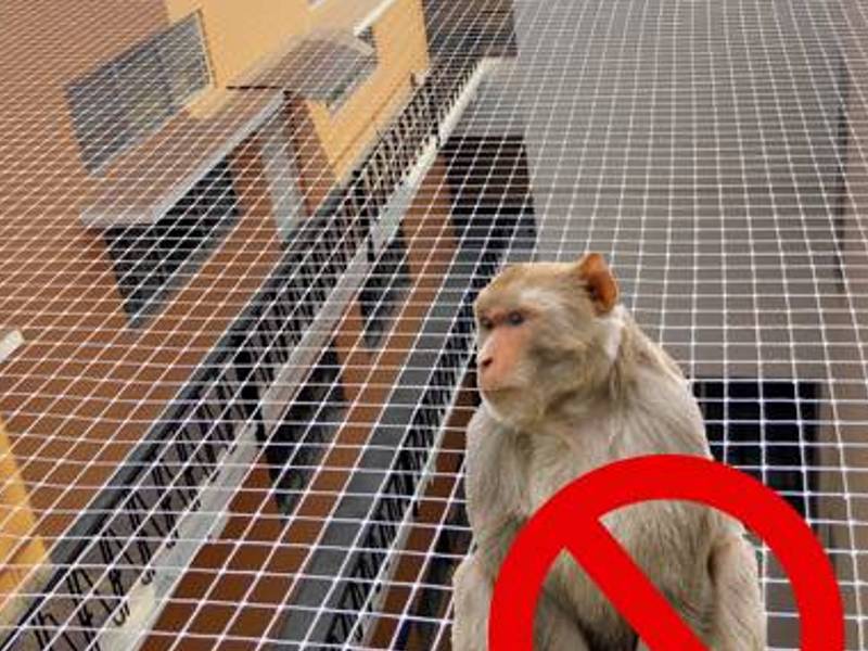 Monkey Safety Nets Installation for Balconies in Bangalore